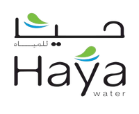 Company name