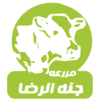 Company name
